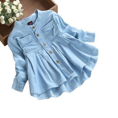 Isabelle Denim Dress